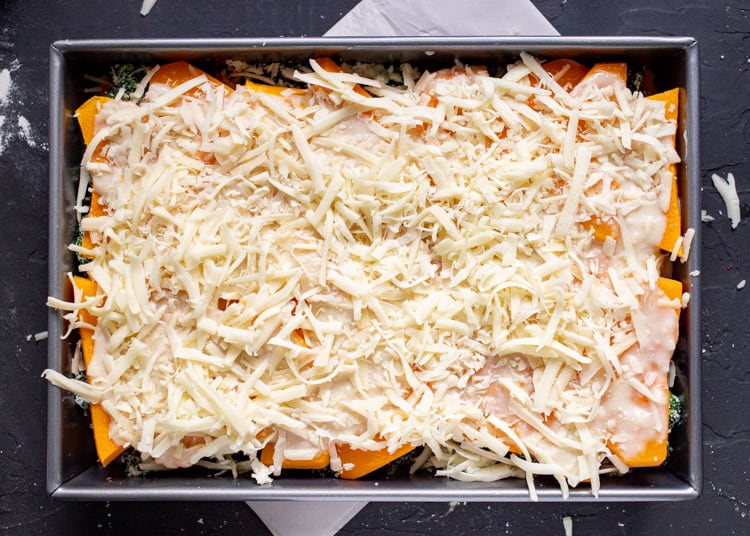 Butternut Squash Lasagna