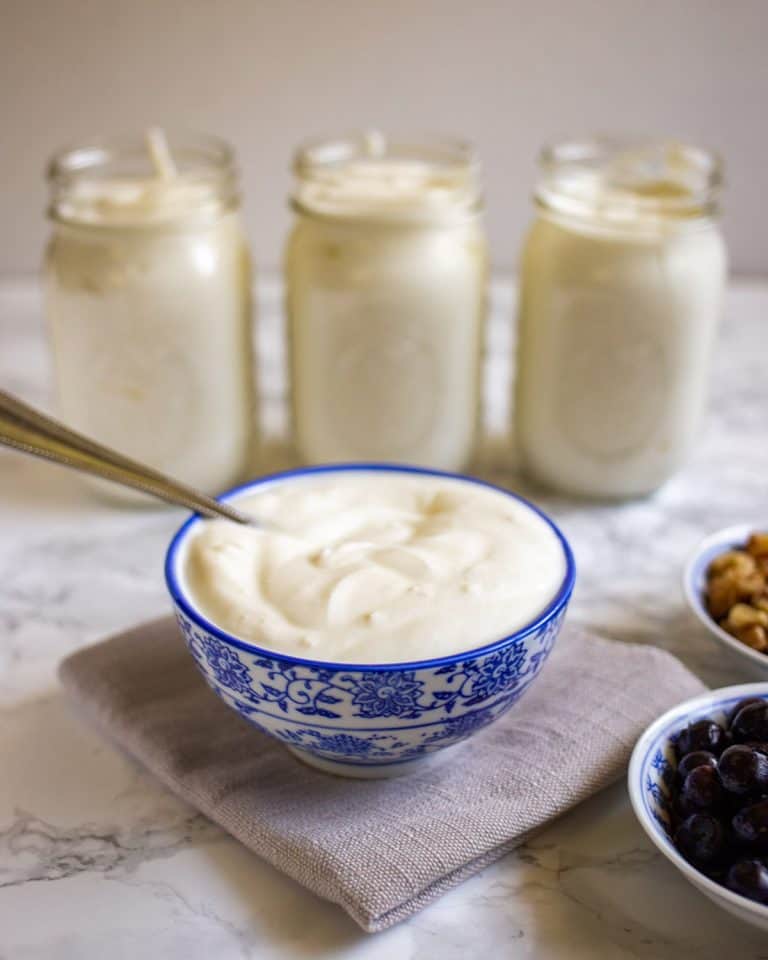 instant pot yogurt