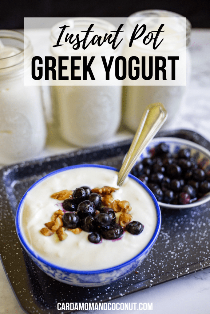 Instant Pot Greek Yogurt Recipe