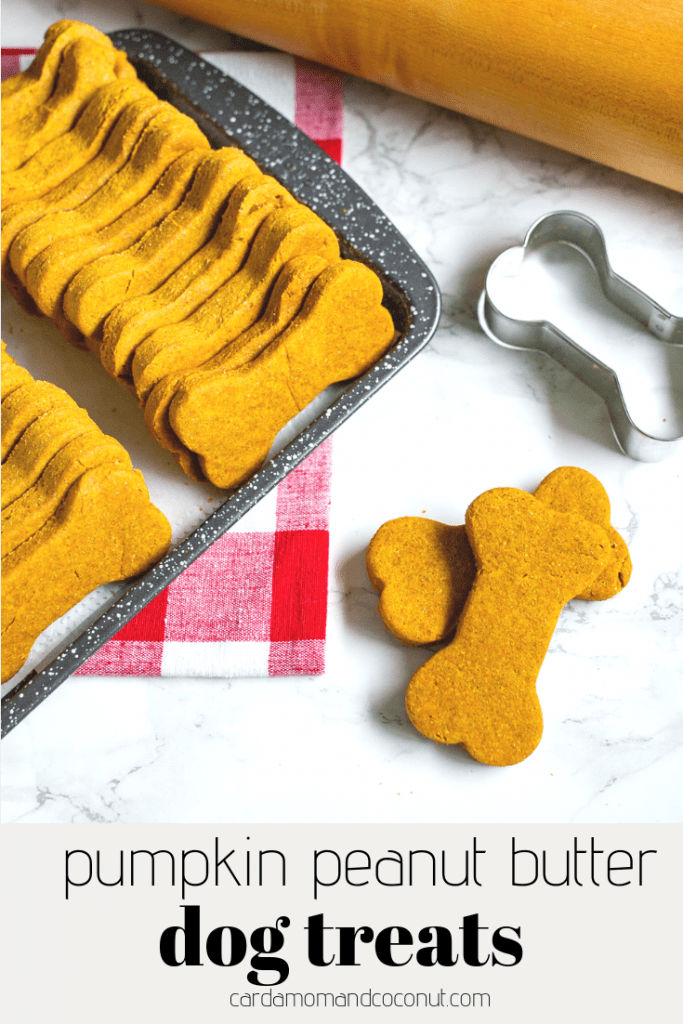 Oatmeal peanut butter 2025 pumpkin dog treats