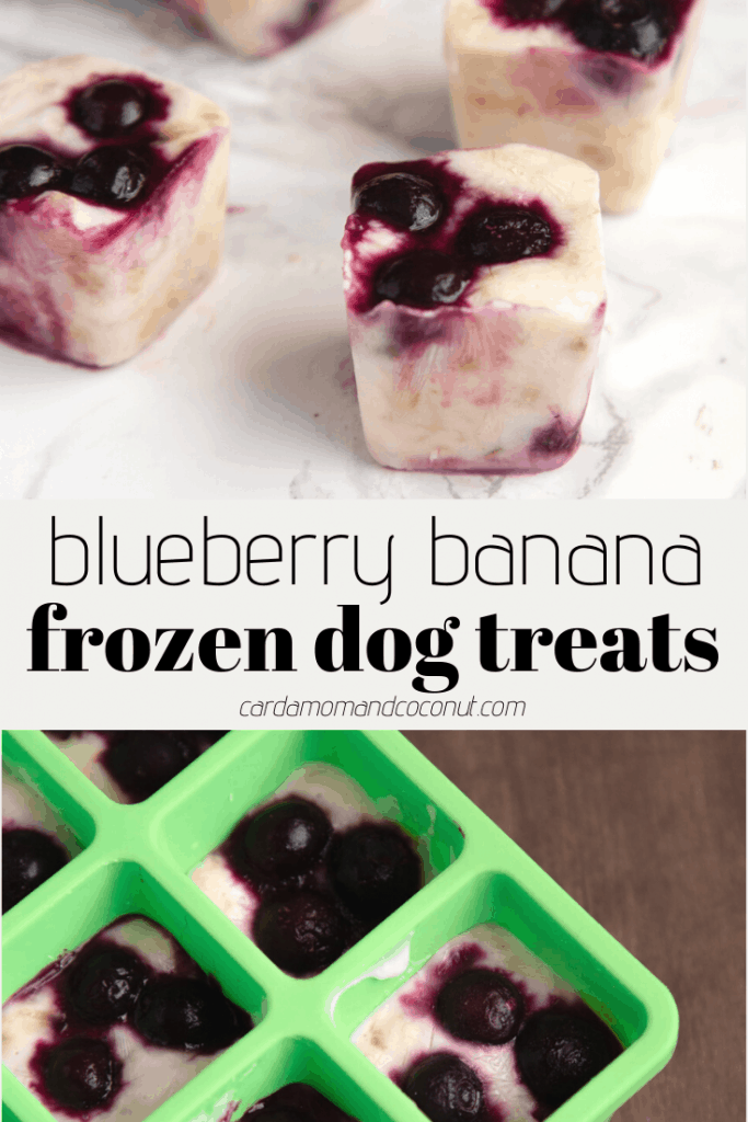 banana blueberry frozen dog treats pinterest image